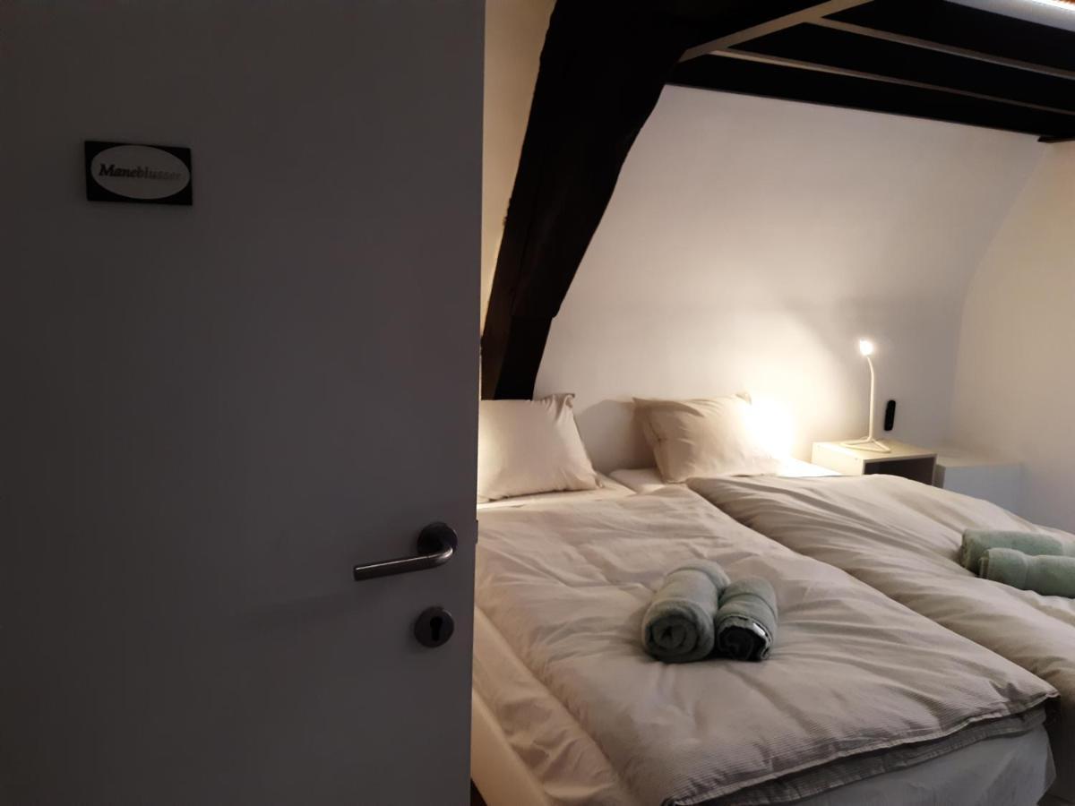 Het Maelslot Apartman Mechelen Kültér fotó