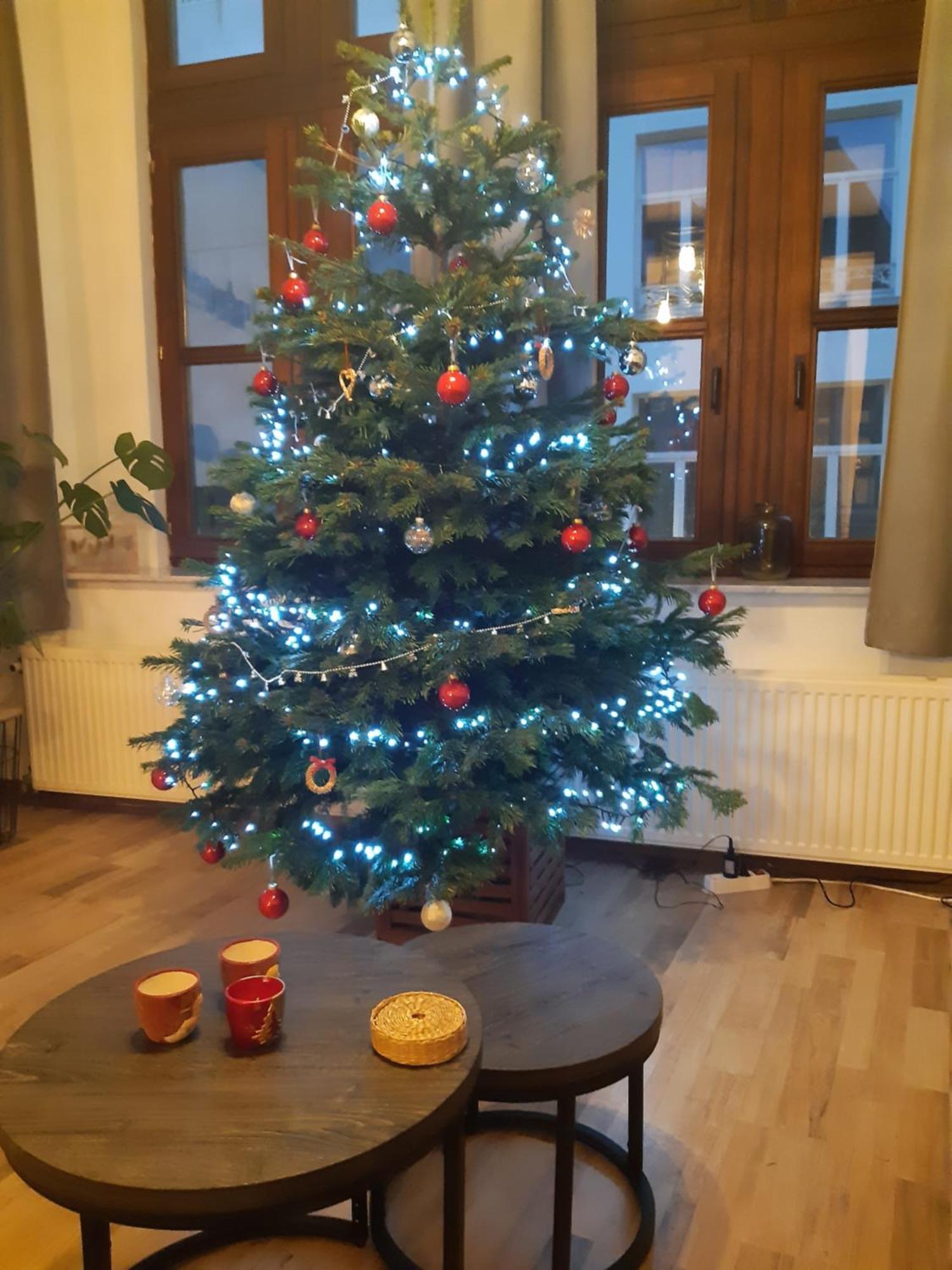 Het Maelslot Apartman Mechelen Kültér fotó